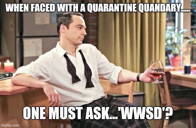 What would Sheldon D | WHEN FACED WITH A QUARANTINE QUANDARY..... ONE MUST ASK...'WWSD'? | image tagged in sheldon cooper | made w/ Imgflip meme maker