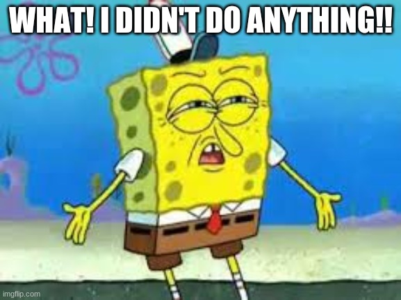 I made a template too of this spongebob so check it out! | WHAT! I DIDN'T DO ANYTHING!! | image tagged in funny face spongebob,funny | made w/ Imgflip meme maker