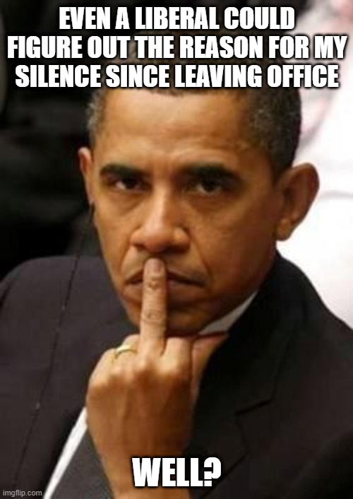 obama coverup fails | EVEN A LIBERAL COULD FIGURE OUT THE REASON FOR MY SILENCE SINCE LEAVING OFFICE; WELL? | image tagged in obamagate,kingpin,worstinhistoryconfirmed,coverup,russia,flynn | made w/ Imgflip meme maker