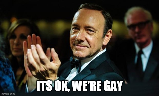 Kevin Spacey | ITS OK, WE'RE GAY | image tagged in kevin spacey | made w/ Imgflip meme maker