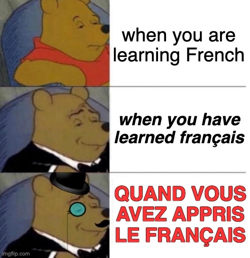 when you are learning French | when you are learning French; when you have learned français; QUAND VOUS AVEZ APPRIS LE FRANÇAIS | image tagged in tuxedo winnie the pooh 3 panel | made w/ Imgflip meme maker