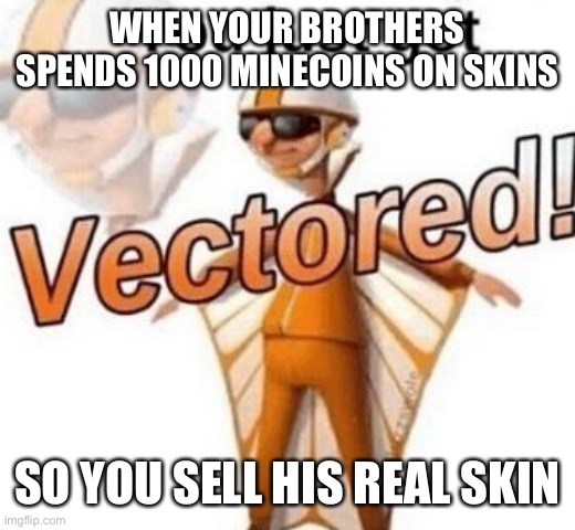 You just got vectored | WHEN YOUR BROTHERS SPENDS 1000 MINECOINS ON SKINS; SO YOU SELL HIS REAL SKIN | image tagged in you just got vectored | made w/ Imgflip meme maker