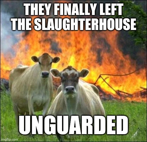 Revenge of the Herds | THEY FINALLY LEFT THE SLAUGHTERHOUSE; UNGUARDED | image tagged in memes,evil cows | made w/ Imgflip meme maker