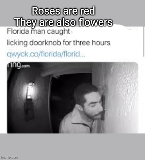 Roses are red
They are also flowers | image tagged in memes,roses are red,florida man,funny | made w/ Imgflip meme maker