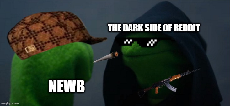 RIP newb | THE DARK SIDE OF REDDIT; NEWB | image tagged in memes,evil kermit | made w/ Imgflip meme maker