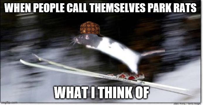WHEN PEOPLE CALL THEMSELVES PARK RATS; WHAT I THINK OF | image tagged in bad luck brian | made w/ Imgflip meme maker