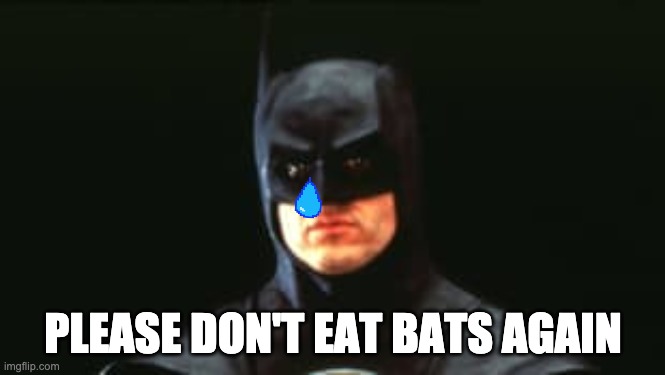 Batman Cry | PLEASE DON'T EAT BATS AGAIN | image tagged in coronavirus meme,covid-19,bat,chinese food,batman | made w/ Imgflip meme maker