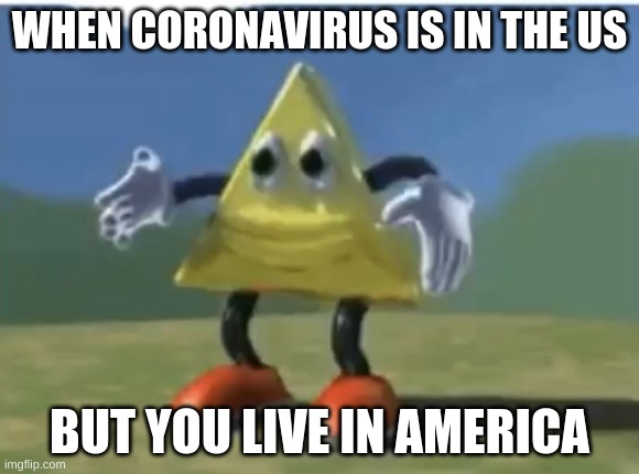 Funny Triangle | WHEN CORONAVIRUS IS IN THE US; BUT YOU LIVE IN AMERICA | image tagged in funny triangle | made w/ Imgflip meme maker