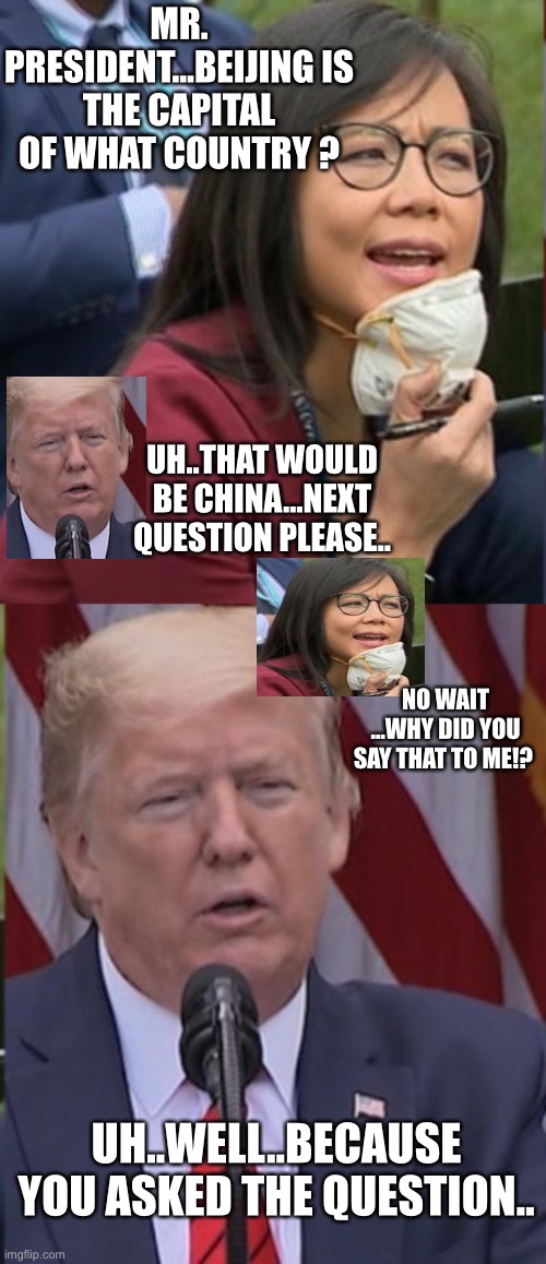 MR. PRESIDENT...BEIJING IS THE CAPITAL OF WHAT COUNTRY ? UH..THAT WOULD BE CHINA...NEXT QUESTION PLEASE.. NO WAIT ...WHY DID YOU SAY THAT TO ME!? UH..WELL..BECAUSE YOU ASKED THE QUESTION.. | image tagged in president trump | made w/ Imgflip meme maker