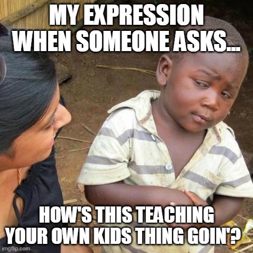 Third World Skeptical Kid | MY EXPRESSION WHEN SOMEONE ASKS... HOW'S THIS TEACHING YOUR OWN KIDS THING GOIN'? | image tagged in memes,third world skeptical kid | made w/ Imgflip meme maker