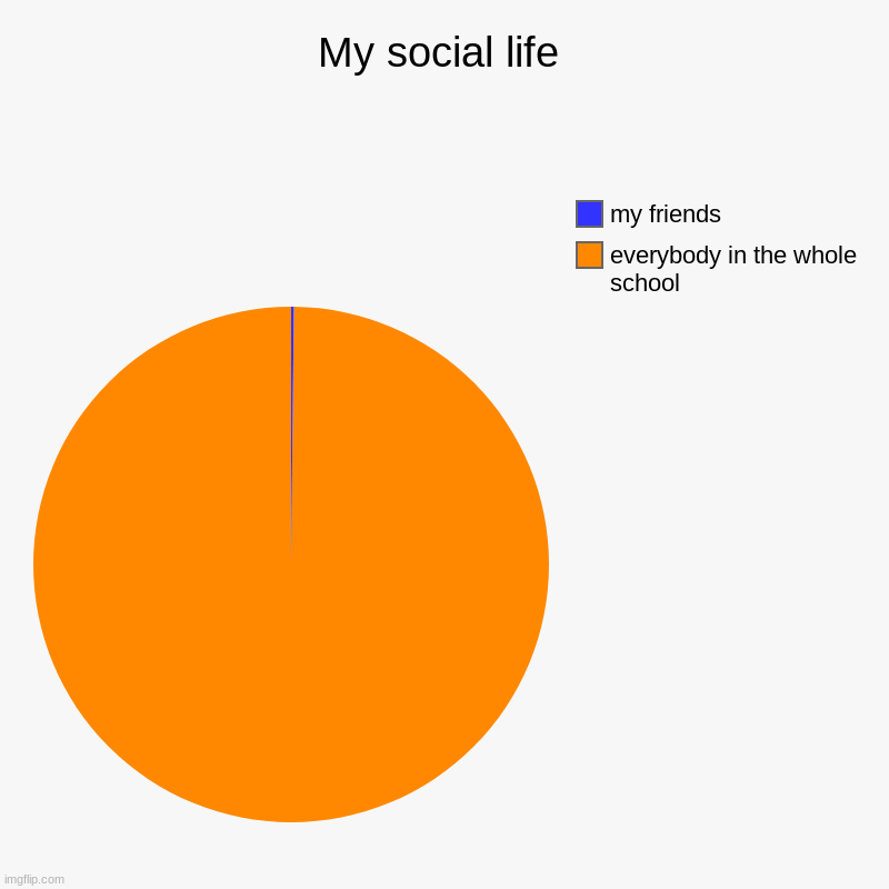 my life | My social life | everybody in the whole school, my friends | image tagged in charts,pie charts | made w/ Imgflip chart maker