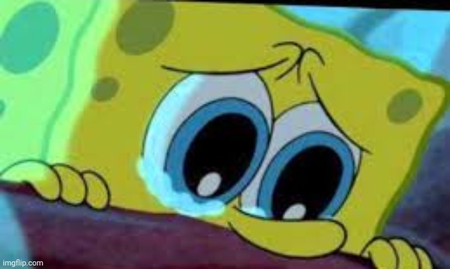 crying spongebob | image tagged in crying spongebob | made w/ Imgflip meme maker