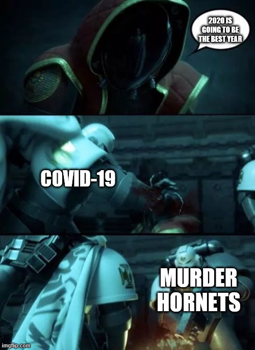 Yeah not so much. | 2020 IS GOING TO BE THE BEST YEAR; COVID-19; MURDER HORNETS | image tagged in astartes | made w/ Imgflip meme maker