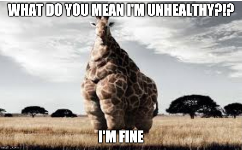 Chonk giraffe | WHAT DO YOU MEAN I'M UNHEALTHY?!? I'M FINE | image tagged in chonk giraffe | made w/ Imgflip meme maker