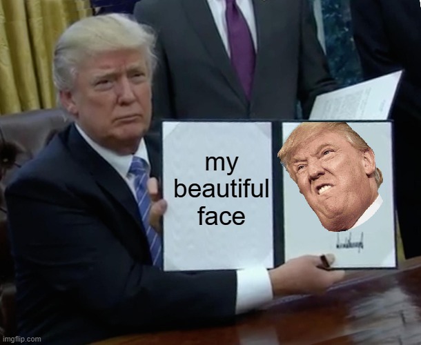 Trump Bill Signing | my beautiful face | image tagged in memes,trump bill signing,donald trump | made w/ Imgflip meme maker