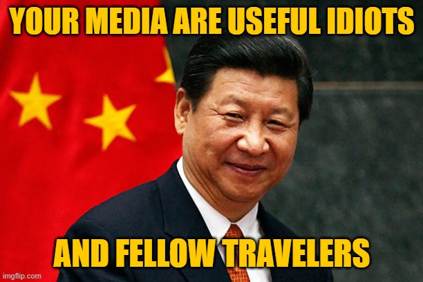 Xi Jinping | YOUR MEDIA ARE USEFUL IDIOTS AND FELLOW TRAVELERS | image tagged in xi jinping | made w/ Imgflip meme maker