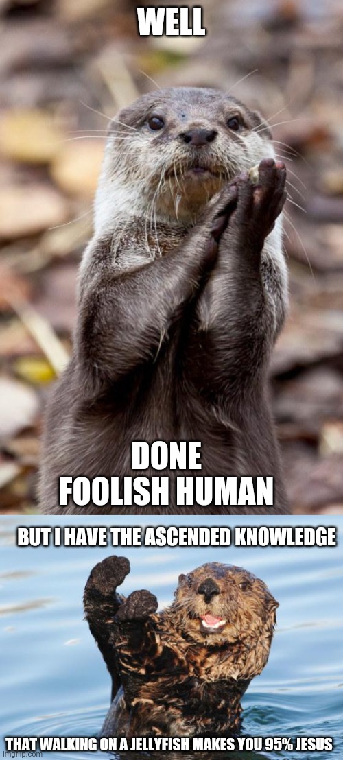 WELL DONE FOOLISH HUMAN BUT I HAVE THE ASCENDED KNOWLEDGE THAT WALKING ON A JELLYFISH MAKES YOU 95% JESUS | image tagged in slow-clap otter,otter celebration | made w/ Imgflip meme maker