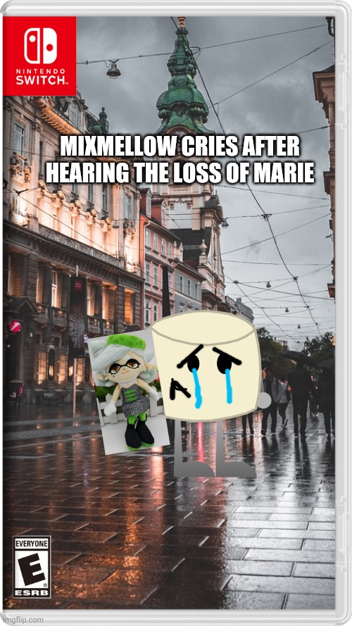 He heard she was one of the people that died | MIXMELLOW CRIES AFTER HEARING THE LOSS OF MARIE | image tagged in marie,mixmellow,splatoon,bfdi,memes | made w/ Imgflip meme maker