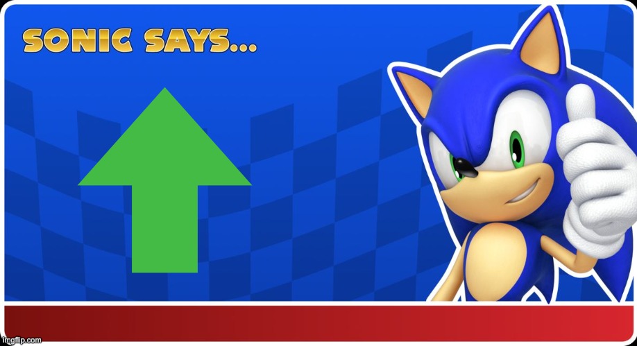 Sonic Says | image tagged in sonic says | made w/ Imgflip meme maker