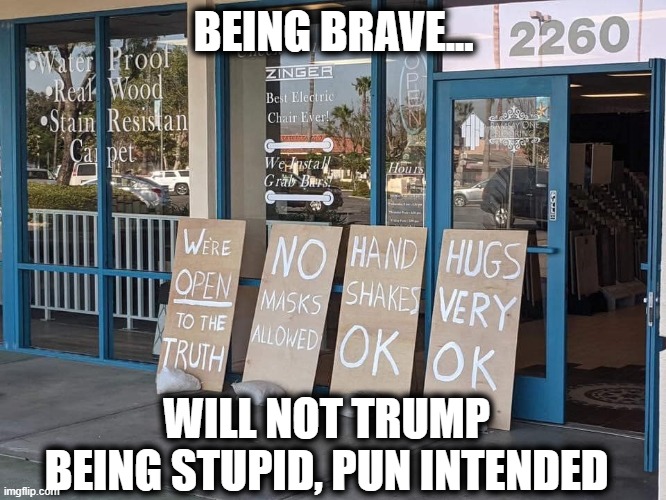 BEING BRAVE... WILL NOT TRUMP BEING STUPID, PUN INTENDED | image tagged in politics | made w/ Imgflip meme maker