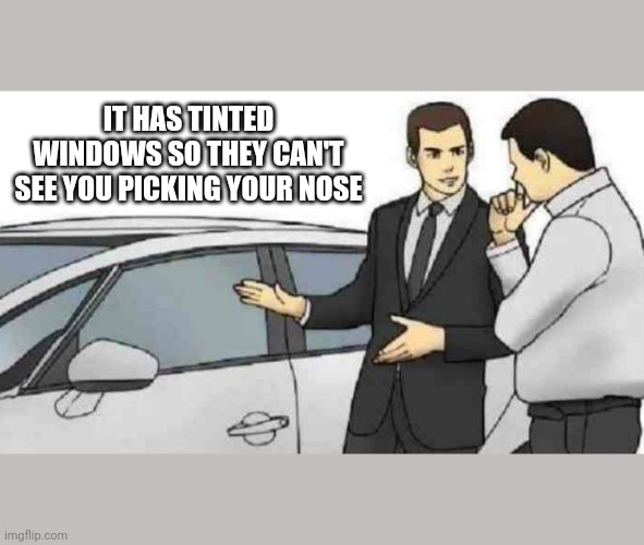The perfect car for you sir | IT HAS TINTED WINDOWS SO THEY CAN'T SEE YOU PICKING YOUR NOSE | image tagged in car salesman,nose pick,meme,cars | made w/ Imgflip meme maker