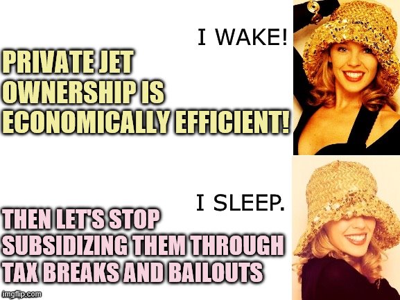 Private jets are disgustingly over-subsidized. It's about the last thing that it makes any sense to spend public money on | PRIVATE JET OWNERSHIP IS ECONOMICALLY EFFICIENT! THEN LET'S STOP SUBSIDIZING THEM THROUGH TAX BREAKS AND BAILOUTS | image tagged in kylie i wake/i sleep,taxes,private,economics,economy,corporate greed | made w/ Imgflip meme maker