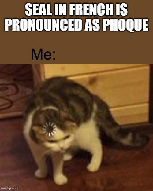 What does phoque sound like? (search french online dictionary) | SEAL IN FRENCH IS PRONOUNCED AS PHOQUE; Me: | image tagged in loading cat,lol,lolz,nani,no no hes got a point | made w/ Imgflip meme maker