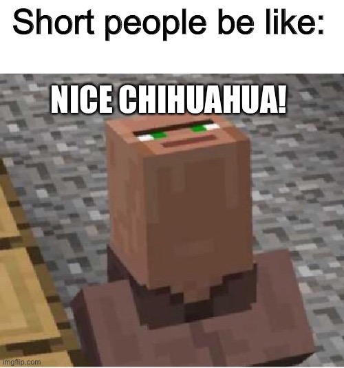 Minecraft Villager Looking Up | NICE CHIHUAHUA! Short people be like: | image tagged in minecraft villager looking up | made w/ Imgflip meme maker