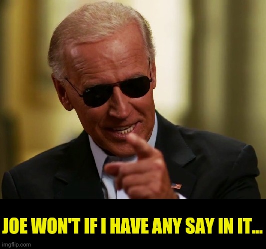 Cool Joe Biden | JOE WON'T IF I HAVE ANY SAY IN IT... | image tagged in cool joe biden | made w/ Imgflip meme maker