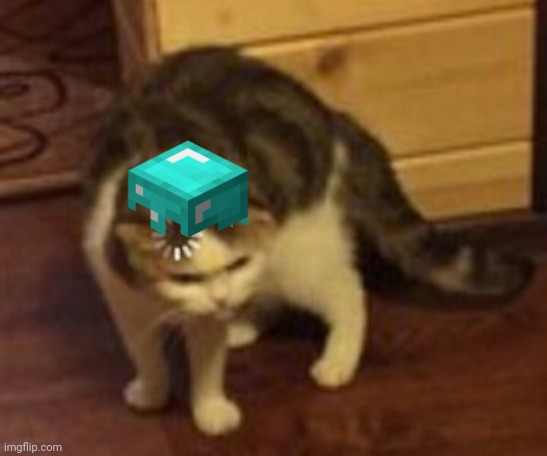 Loading cat | image tagged in loading cat | made w/ Imgflip meme maker