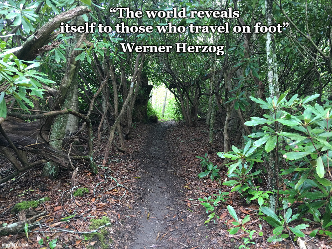 World Revealed | “The world reveals itself to those who travel on foot”; Werner Herzog | image tagged in hiking | made w/ Imgflip meme maker