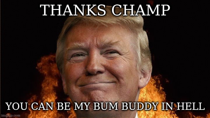 When someone is an asshole to you just remember this meme: | THANKS CHAMP YOU CAN BE MY BUM BUDDY IN HELL | image tagged in we all going to die,trump,you asshole,humour,intended humour | made w/ Imgflip meme maker