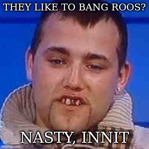 Innit | THEY LIKE TO BANG ROOS? NASTY, INNIT | image tagged in innit | made w/ Imgflip meme maker