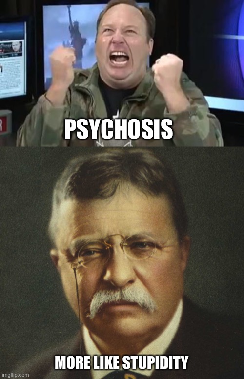PSYCHOSIS MORE LIKE STUPIDITY | image tagged in alex jones,teddy roosevelt portrait | made w/ Imgflip meme maker