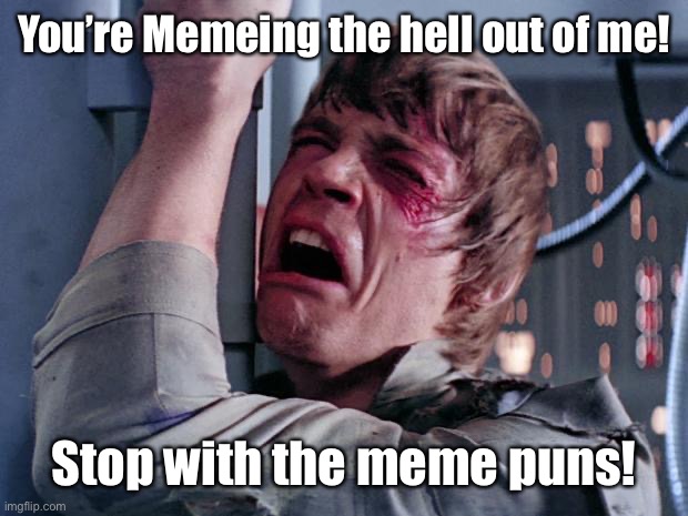 luke nooooo | You’re Memeing the hell out of me! Stop with the meme puns! | image tagged in luke nooooo | made w/ Imgflip meme maker