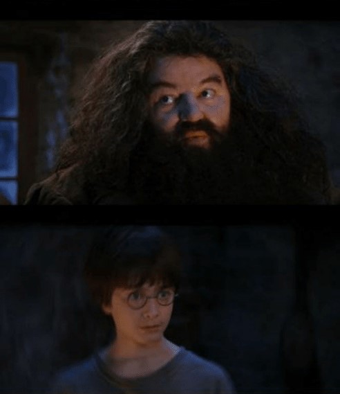 you are a wizard harry Blank Meme Template