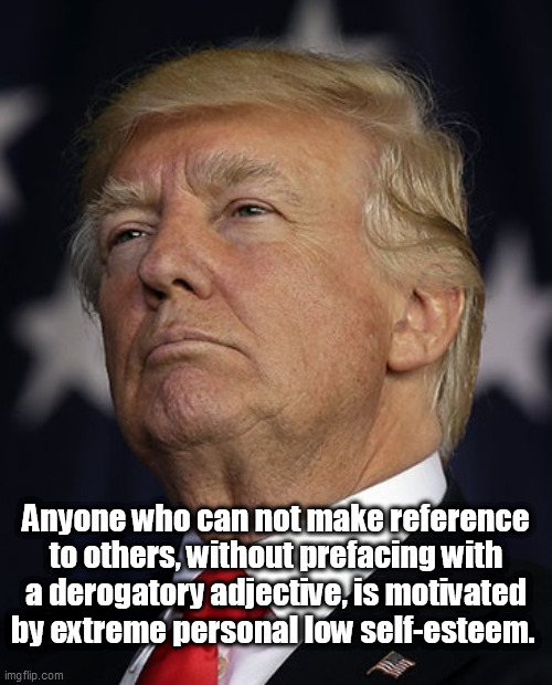 Insecure Trump | Anyone who can not make reference to others, without prefacing with a derogatory adjective, is motivated by extreme personal low self-esteem. | image tagged in donald trump,low self-esteem,insecure,cruel | made w/ Imgflip meme maker