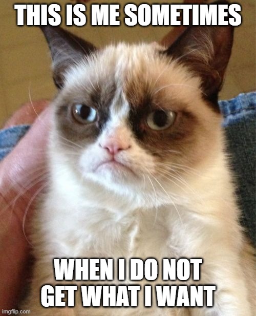 Grumpy Cat | THIS IS ME SOMETIMES; WHEN I DO NOT GET WHAT I WANT | image tagged in memes,grumpy cat | made w/ Imgflip meme maker