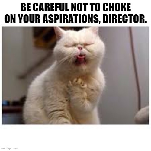 BE CAREFUL NOT TO CHOKE ON YOUR ASPIRATIONS, DIRECTOR. | image tagged in star wars,cat | made w/ Imgflip meme maker
