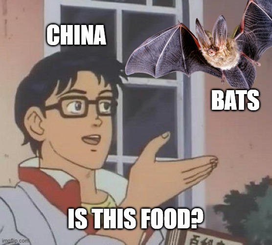 Covid-19 beginner stage | CHINA; BATS; IS THIS FOOD? | made w/ Imgflip meme maker