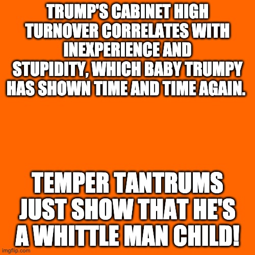 TRUMP'S CABINET HIGH TURNOVER CORRELATES WITH INEXPERIENCE AND STUPIDITY, WHICH BABY TRUMPY HAS SHOWN TIME AND TIME AGAIN. TEMPER TANTRUMS JUST SHOW THAT HE'S A WHITTLE MAN CHILD! | made w/ Imgflip meme maker