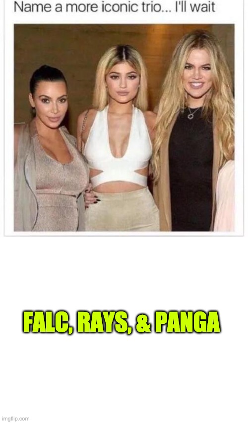 FALC, RAYS, & PANGA | image tagged in blank white template,name a more iconic trio | made w/ Imgflip meme maker