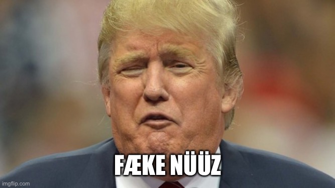 trump face 1 | FÆKE NÜÜZ | image tagged in trump face 1 | made w/ Imgflip meme maker