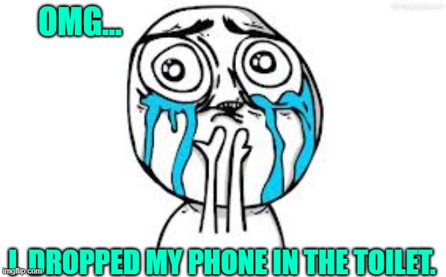 Why!?!? |  OMG... I  DROPPED MY PHONE IN THE TOILET. | image tagged in memes,crying,nooooooooo | made w/ Imgflip meme maker
