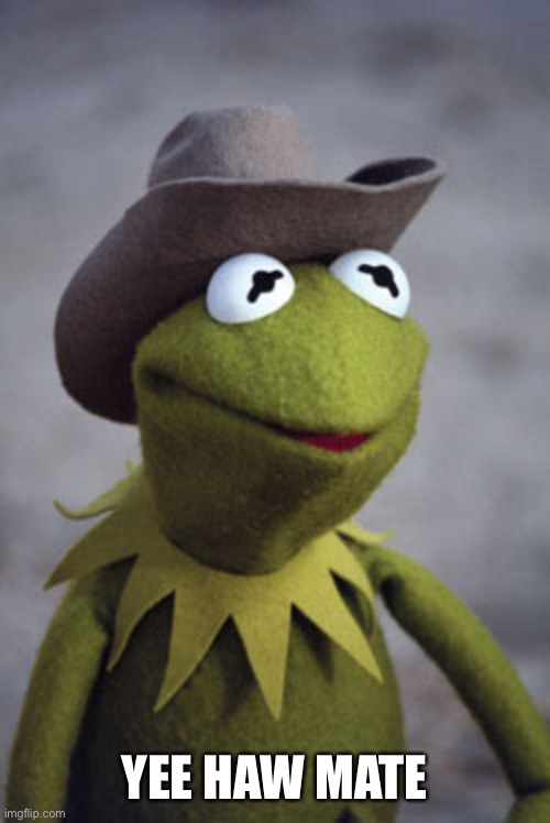 Texas Kermit | YEE HAW MATE | image tagged in texas kermit | made w/ Imgflip meme maker