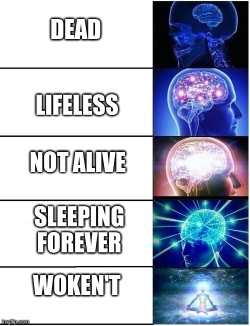 (title here) | DEAD; LIFELESS; NOT ALIVE; SLEEPING FOREVER; WOKEN'T | image tagged in expanding brain 5 panel | made w/ Imgflip meme maker