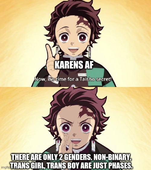 Ok Karen! | KARENS AF; THERE ARE ONLY 2 GENDERS. NON-BINARY, TRANS GIRL, TRANS BOY ARE JUST PHASES. | image tagged in taisho secret | made w/ Imgflip meme maker