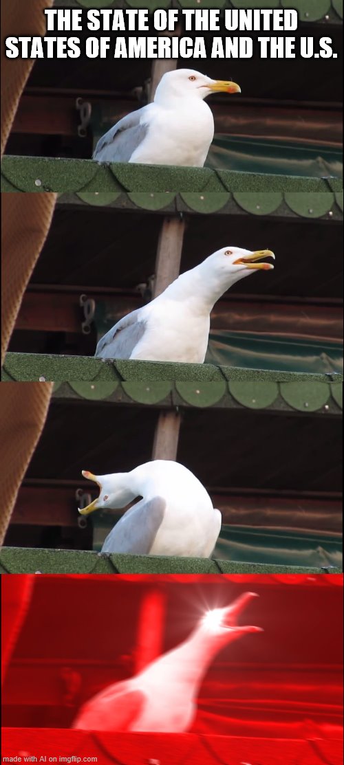 Inhaling seagull delivers the State of the Union... and the Union. | THE STATE OF THE UNITED STATES OF AMERICA AND THE U.S. | image tagged in memes,inhaling seagull,state of the union,america,united states of america,united states | made w/ Imgflip meme maker