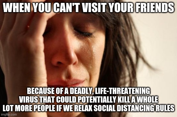 Long Meme About Coronavirus (First World Problems) | WHEN YOU CAN'T VISIT YOUR FRIENDS; BECAUSE OF A DEADLY, LIFE-THREATENING VIRUS THAT COULD POTENTIALLY KILL A WHOLE LOT MORE PEOPLE IF WE RELAX SOCIAL DISTANCING RULES | image tagged in memes,first world problems | made w/ Imgflip meme maker