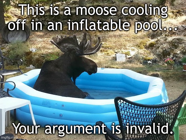 Moose in a pool your argument is invalid | This is a moose cooling off in an inflatable pool... Your argument is invalid. | image tagged in moose in an inflatable pool | made w/ Imgflip meme maker